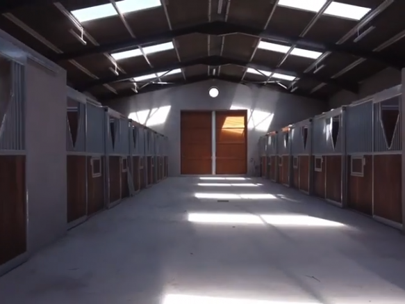 Murphy Design - Modern Equine Facility 4